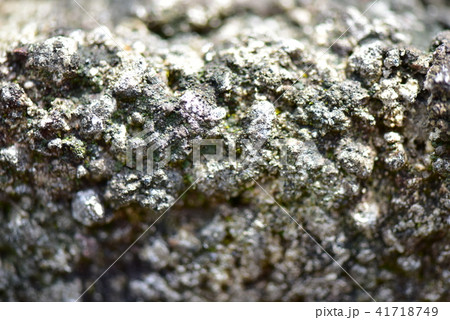 ブロック塀  ブロック塀  41718749