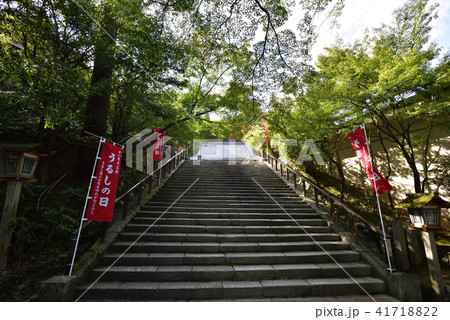 虚空蔵法輪寺　参道 41718822