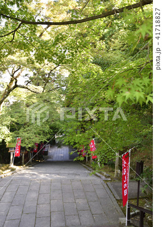 虚空蔵法輪寺　参道 41718827