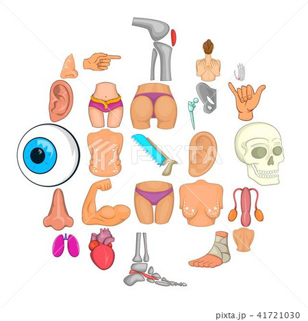 Human body icons set, cartoon style Human body icons set, cartoon style 41721030