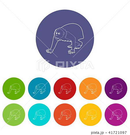 Bald wakari icons set vector color 41721097