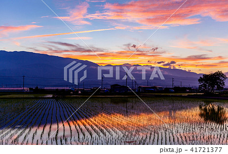 南アルプス　櫛形山　夕焼け 41721377