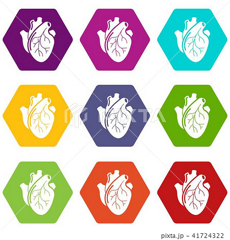 Human heart organ icons set 9 vector 41724322