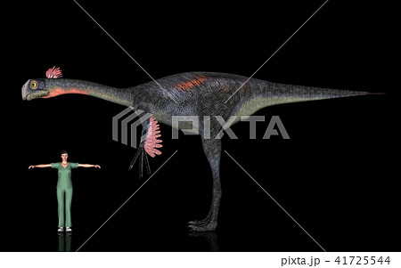 恐竜縮尺図・ギガントラプトル 41725544