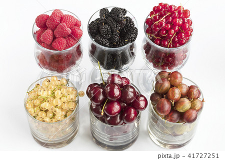 Raspberry gooseberry blackberry currant mulberry 41727251