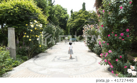 薔薇の庭園に迷い込んだ子供 41727440