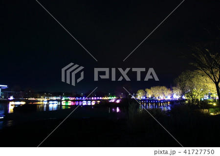 夜景 照明 湖公園 41727750