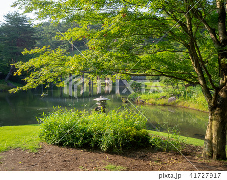 【伊豆】池のある日本庭園風景【修善寺虹の郷】 【伊豆】池のある日本庭園風景【修善寺虹の郷】 41727917