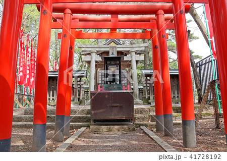 有明稲荷大明神 41728192