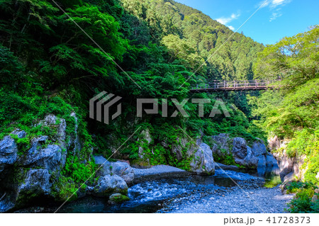 鳩ノ巣渓谷 41728373