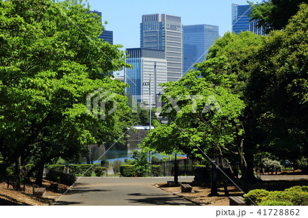 国会前庭より望む桜田濠と丸の内高層ビル群 41728862