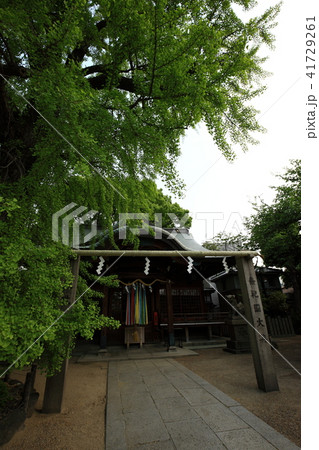 白山神社より 白山神社より 41729261