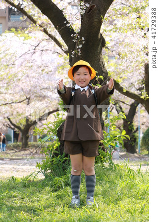 小学校に入学した男の子 小学校に入学した男の子 41729388