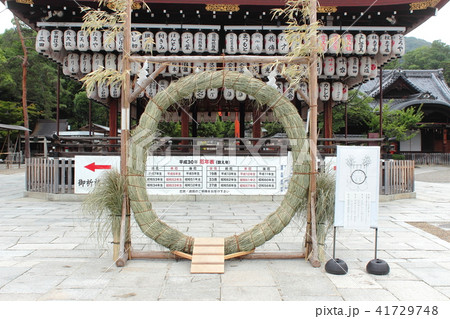 京都　八坂神社　茅の輪くぐり 41729748