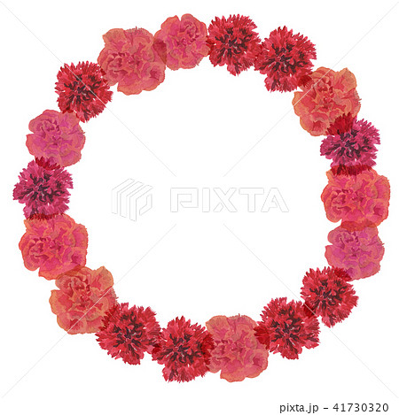 carnation wreath L 41730320