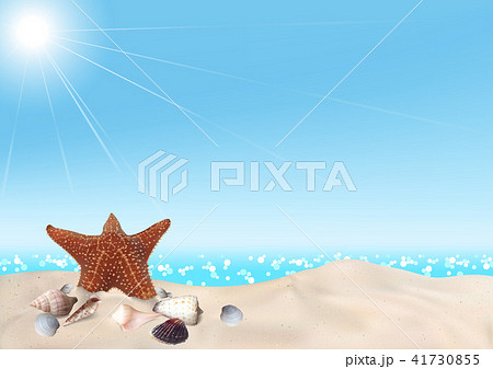 Seashells on Seashore Background Seashells on Seashore Background 41730855