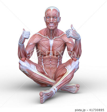 人体模型 - 彫刻/オブジェクト