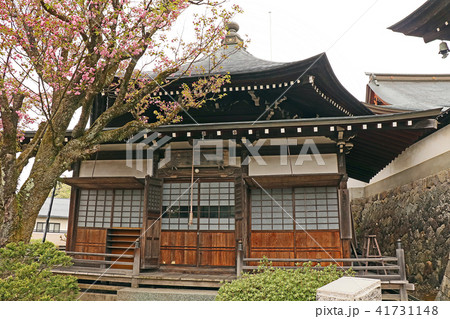大雄寺 大雄寺 41731148