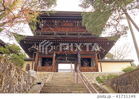 大雄寺 大雄寺 41731149