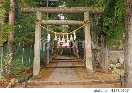東山白山神社 東山白山神社 41731407