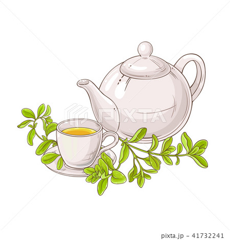marjoram tea illustration 41732241