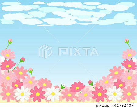 コスモス14 コスモス14 41732407