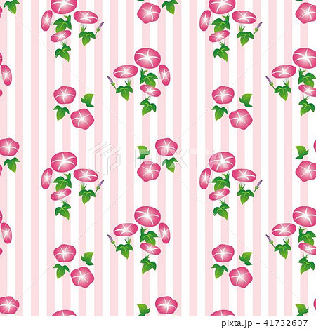 朝顔の壁紙 ピンク のイラスト素材 41732607 Pixta