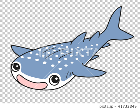 Whale shark 41732849