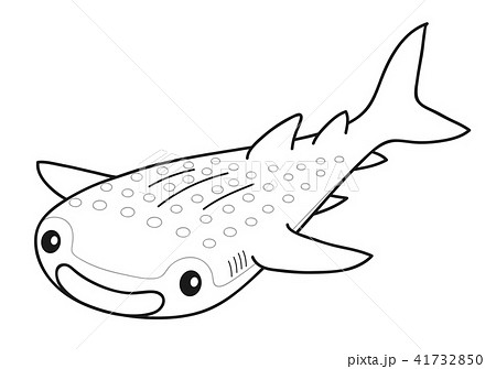すべてのイラスト画像 ベスト50 ジンベイザメ サメ イラスト かわいい
