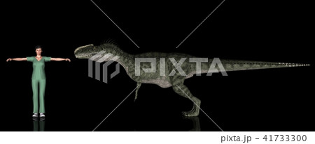 恐竜縮尺図・モノロフォサウルス 41733300