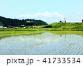 青空と田んぼ 41733534