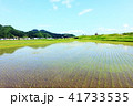 青空と田んぼ 41733535
