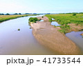 雄物川の中洲 41733544