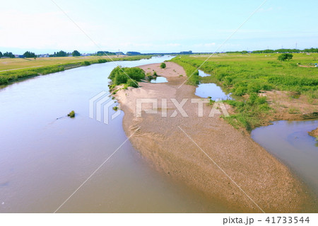 雄物川の中洲 雄物川の中洲 41733544