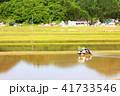 田植え 41733546
