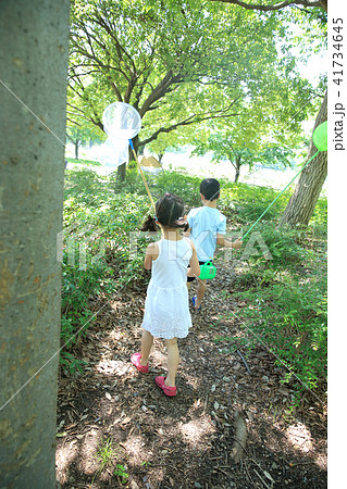 虫取りする子ども 虫取りする子ども 41734645