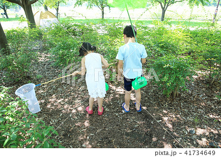 虫取りする子ども 41734649