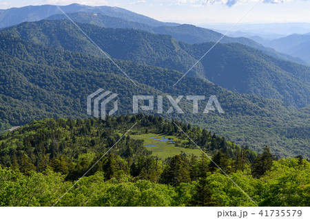 燧ヶ岳の登りから見た広沢田代と会津駒ヶ岳 41735579