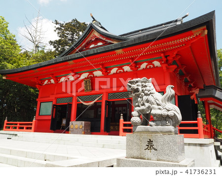 大洞赤城神社 41736231