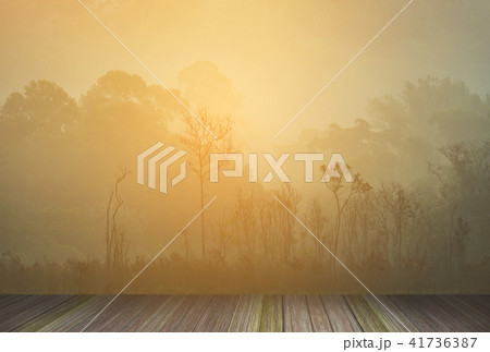 Beautiful images for artistic use. Beautiful images for artistic use. 41736387