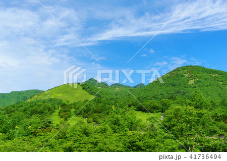 日光霧降高原 41736494