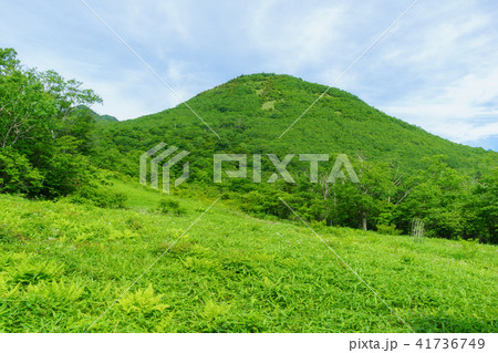 日光霧降高原 41736749