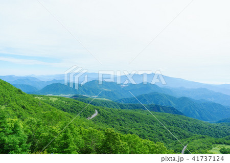 小丸山展望台からの景色~日光霧降高原 小丸山展望台からの景色~日光霧降高原 41737124
