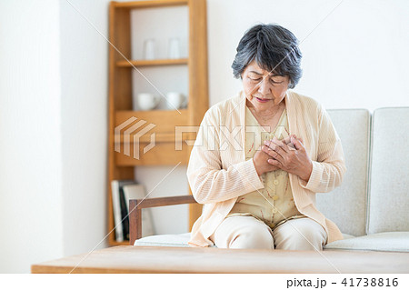 シニアの女性 シニアの女性 41738816