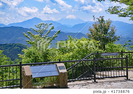 高尾山　山頂　 大見晴台から眺望する富士山　5月中旬 41738876