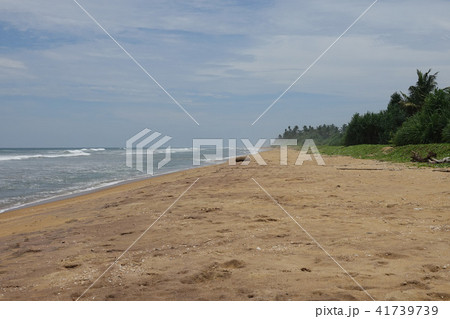 Tropical sandy beach in Sri Lanka 41739739