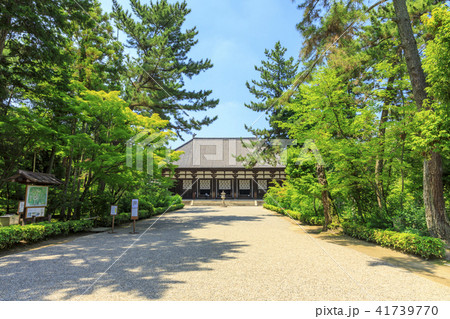 唐招提寺　ハス 41739770