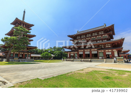 薬師寺　ハス 41739902