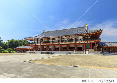 薬師寺 ハス 薬師寺 ハス 41739904
