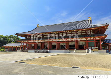 薬師寺 ハス 薬師寺 ハス 41739905